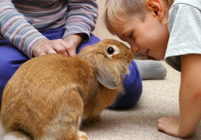 Pet rabbit with children